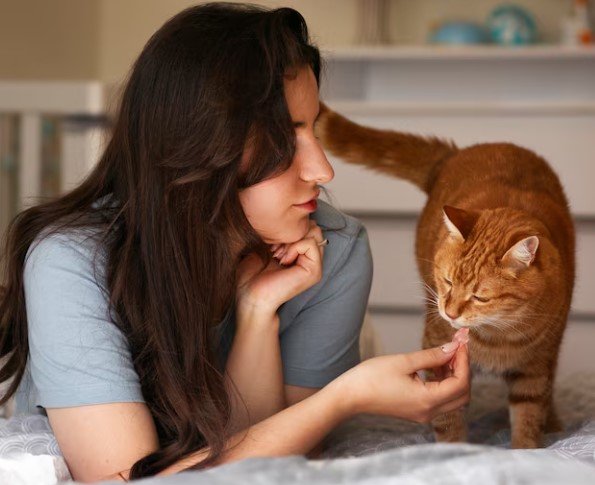 How a cat express their feelings with their behavior?